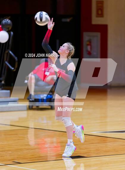 Thumbnail 2 in Leo @ Huntington North photogallery.