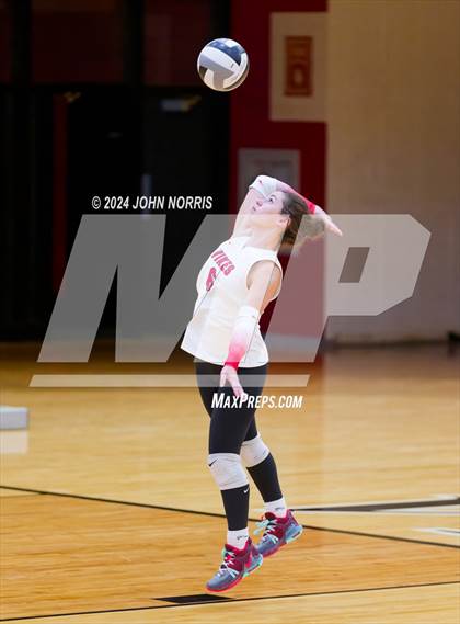 Thumbnail 3 in Leo @ Huntington North photogallery.