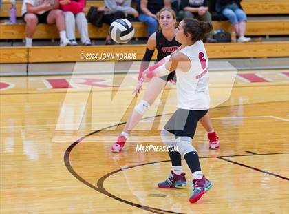 Thumbnail 3 in Leo @ Huntington North photogallery.
