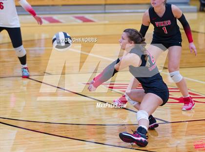 Thumbnail 1 in Leo @ Huntington North photogallery.