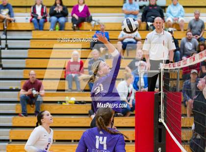 Thumbnail 1 in Leo @ Huntington North photogallery.