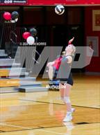 Photo from the gallery "Leo @ Huntington North"