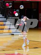 Photo from the gallery "Leo @ Huntington North"