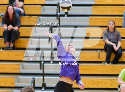 Thumbnail 2 in Leo @ Huntington North photogallery.