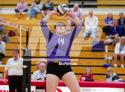 Thumbnail 2 in Leo @ Huntington North photogallery.