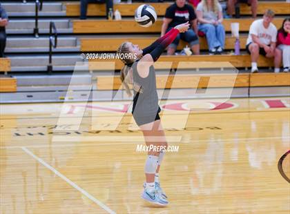 Thumbnail 2 in Leo @ Huntington North photogallery.