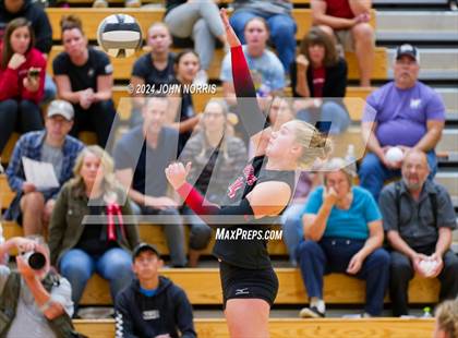 Thumbnail 2 in Leo @ Huntington North photogallery.