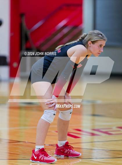 Thumbnail 3 in Leo @ Huntington North photogallery.