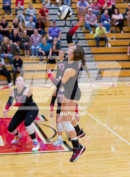 Thumbnail 3 in Leo @ Huntington North photogallery.