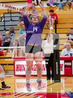 Photo from the gallery "Leo @ Huntington North"