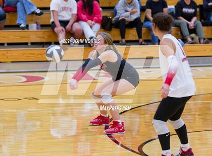 Thumbnail 3 in Leo @ Huntington North photogallery.
