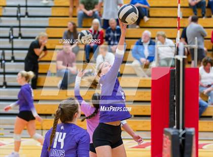 Thumbnail 2 in Leo @ Huntington North photogallery.