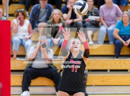 Thumbnail 3 in Leo @ Huntington North photogallery.