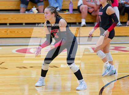 Thumbnail 3 in Leo @ Huntington North photogallery.