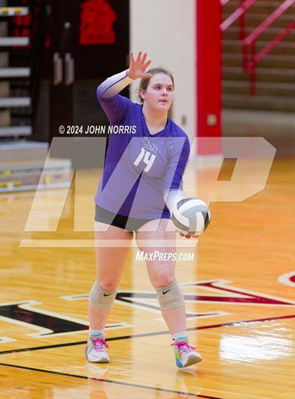 Thumbnail 2 in Leo @ Huntington North photogallery.