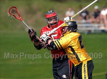 Thumbnail 2 in Cheshire @ Amity photogallery.