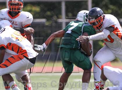 Thumbnail 2 in DuVal vs Wilson photogallery.