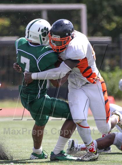 Thumbnail 3 in DuVal vs Wilson photogallery.