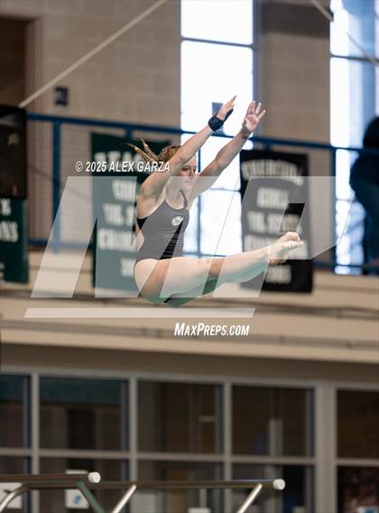 Thumbnail 3 in UIL 4A Girls Diving Prelims and Finals photogallery.