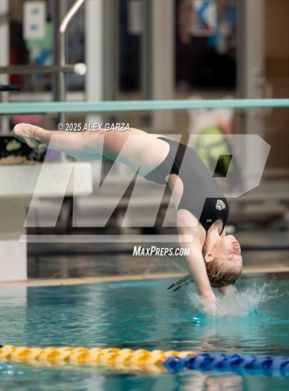 Thumbnail 2 in UIL 4A Girls Diving Prelims and Finals photogallery.
