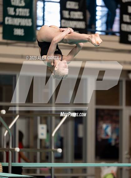 Thumbnail 3 in UIL 4A Girls Diving Prelims and Finals photogallery.