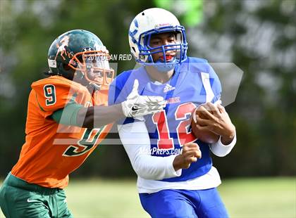 Thumbnail 1 in Morgan Park @ Curie photogallery.