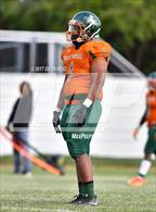 Photo from the gallery "Morgan Park @ Curie"