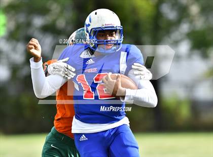 Thumbnail 2 in Morgan Park @ Curie photogallery.