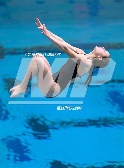 Thumbnail 2 in CHSAA 4A Finals (Diving) photogallery.