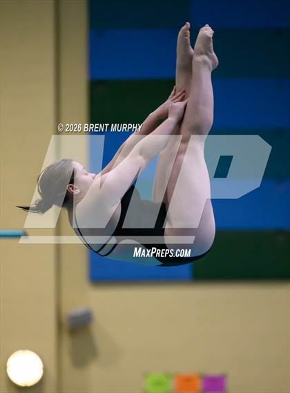 Thumbnail 2 in CHSAA 4A Finals (Diving) photogallery.