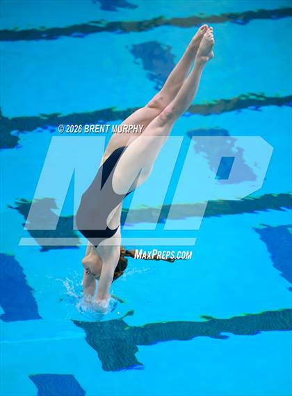 Thumbnail 3 in CHSAA 4A Finals (Diving) photogallery.