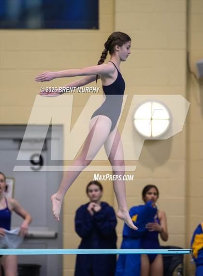 Thumbnail 2 in CHSAA 4A Finals (Diving) photogallery.