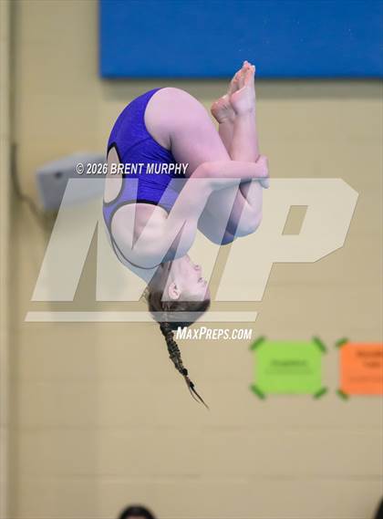 Thumbnail 1 in CHSAA 4A Finals (Diving) photogallery.