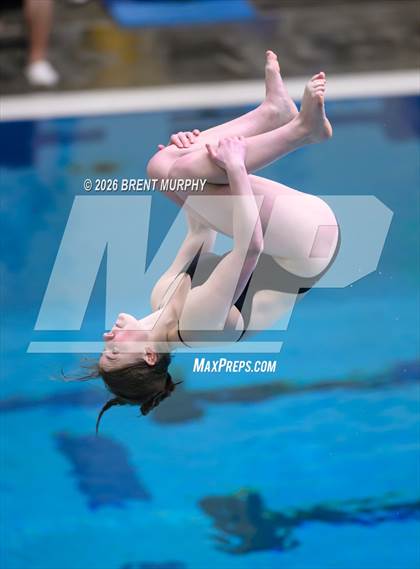 Thumbnail 1 in CHSAA 4A Finals (Diving) photogallery.
