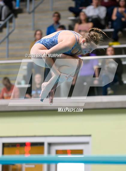 Thumbnail 3 in CHSAA 4A Finals (Diving) photogallery.