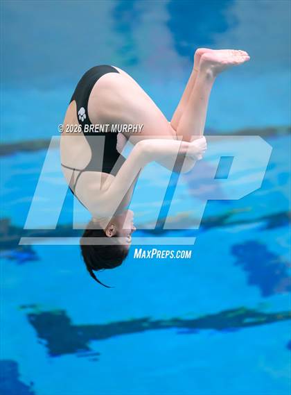 Thumbnail 1 in CHSAA 4A Finals (Diving) photogallery.