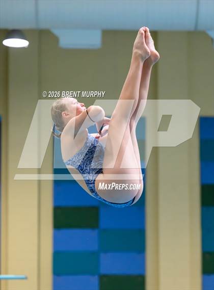 Thumbnail 3 in CHSAA 4A Finals (Diving) photogallery.