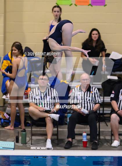 Thumbnail 3 in CHSAA 4A Finals (Diving) photogallery.