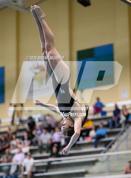Thumbnail 1 in CHSAA 4A Finals (Diving) photogallery.