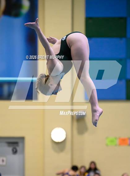 Thumbnail 1 in CHSAA 4A Finals (Diving) photogallery.