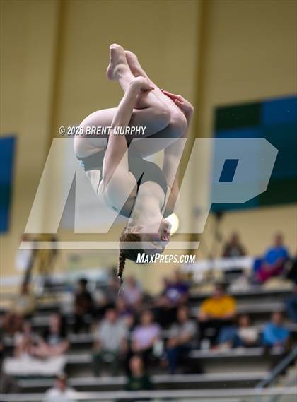 Thumbnail 3 in CHSAA 4A Finals (Diving) photogallery.