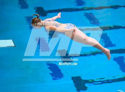 Thumbnail 1 in CHSAA 4A Finals (Diving) photogallery.