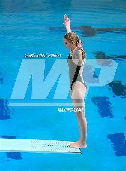 Thumbnail 2 in CHSAA 4A Finals (Diving) photogallery.