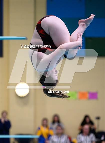 Thumbnail 1 in CHSAA 4A Finals (Diving) photogallery.