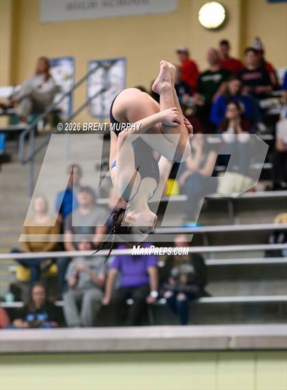 Thumbnail 1 in CHSAA 4A Finals (Diving) photogallery.