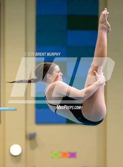 Thumbnail 2 in CHSAA 4A Finals (Diving) photogallery.
