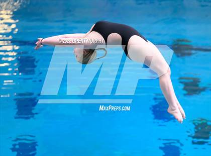 Thumbnail 2 in CHSAA 4A Finals (Diving) photogallery.