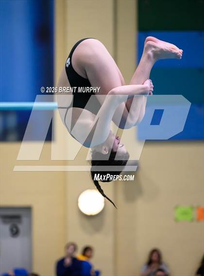 Thumbnail 3 in CHSAA 4A Finals (Diving) photogallery.