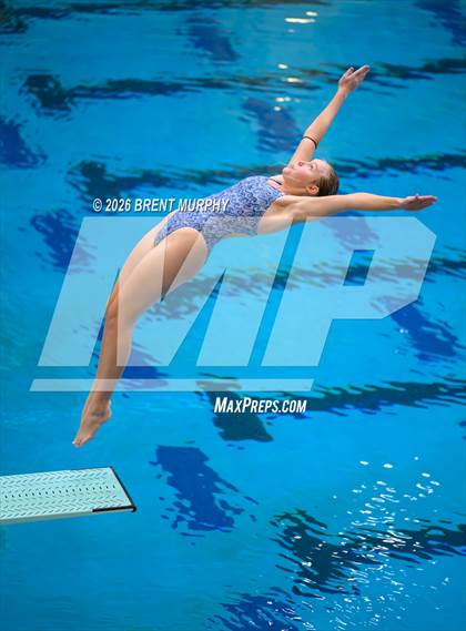 Thumbnail 3 in CHSAA 4A Finals (Diving) photogallery.