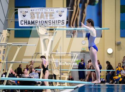 Thumbnail 3 in CHSAA 4A Finals (Diving) photogallery.